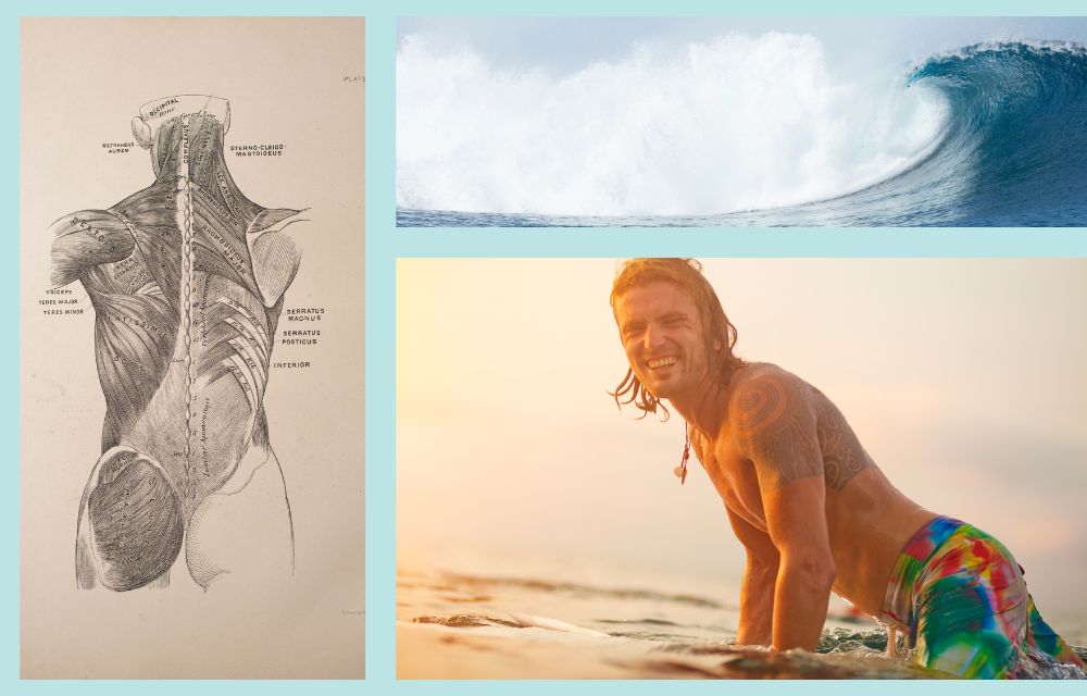 What Muscles Does Bodyboarding Work Body Surfing U